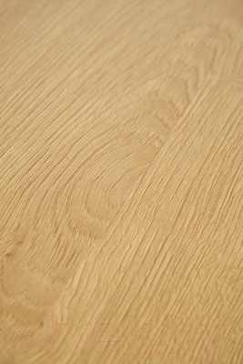 Обеденный стол Halmar Edgar / V-CH-EDGAR-ST-DAB ZLOTY