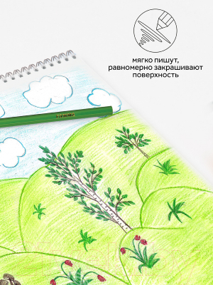 Набор цветных карандашей ГАММА Классические / 050918_04_04