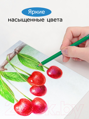 Набор цветных карандашей ГАММА Классические / 050918_04_04