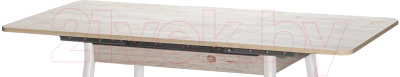 Обеденный стол Древпром М46 Бостон ДП1-01-10 60x90-127