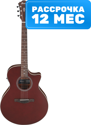 Электроакустическая гитара Ibanez AE100-BUF - фото