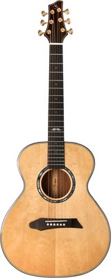 Электроакустическая гитара NG MINI 1E - фото