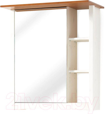 Шкаф с зеркалом для ванной Dipriz Paula Д.73045.1 - фото