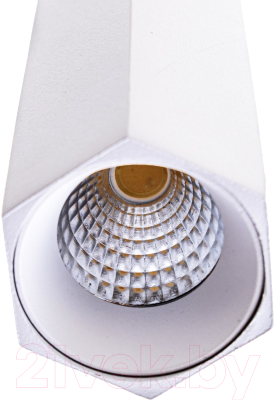 Потолочный светильник BayerLux Моэм / 9802151