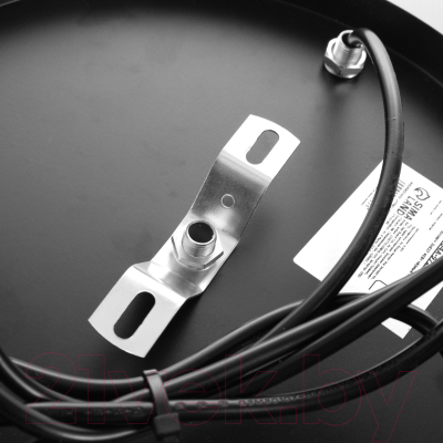 Потолочный светильник BayerLux Алсер / 9343662