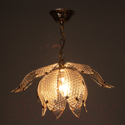 Потолочный светильник BayerLux Лепестки / 4523892