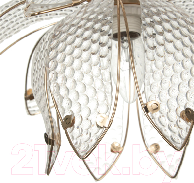 Потолочный светильник BayerLux Лепестки / 4523892