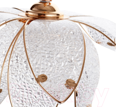 Потолочный светильник BayerLux Лепестки / 4523892