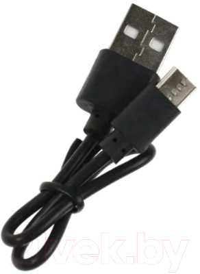 Беспроводные наушники Ergolux ELX-BTHP02-C14