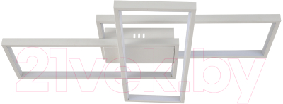 Потолочный светильник ESCADA 10254/3LED