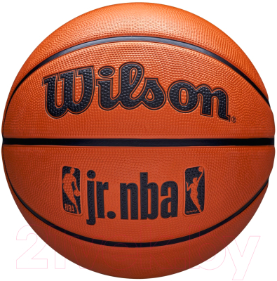 Баскетбольный мяч Wilson JR. NBA DRV Fam Logo / WZ3013001XB6 - фото