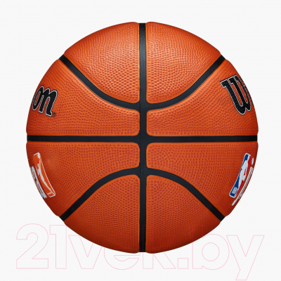 Баскетбольный мяч Wilson JR.NBA Authentic Outdoor / WZ3011801XB7