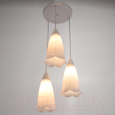 Люстра BayerLux Симпл / 3873063 - фото