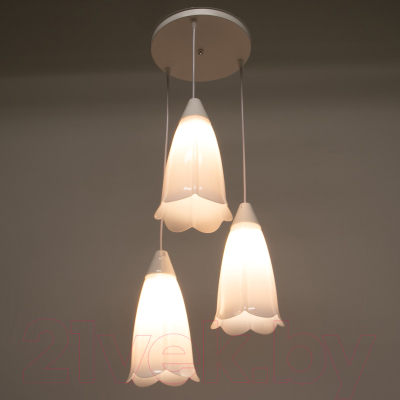 Люстра BayerLux Симпл / 3873063