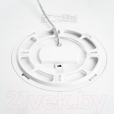 Потолочный светильник Feron AL1600 / 48883