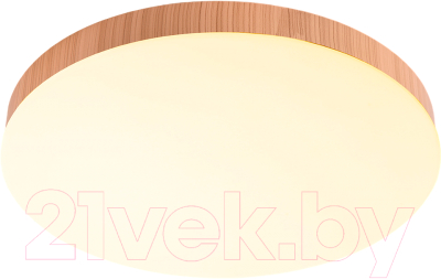 Потолочный светильник Feron AL1600 / 51109 - фото