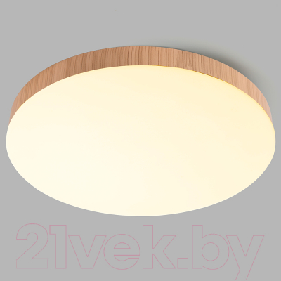 Потолочный светильник Feron AL1600 / 51109