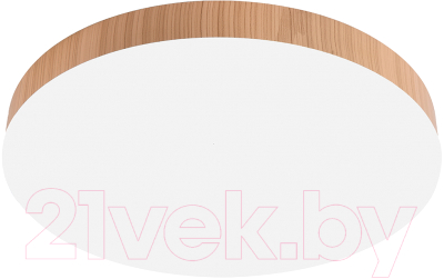 Потолочный светильник Feron AL1600 / 51111