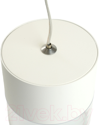 Потолочный светильник Feron HL4548 / 48748