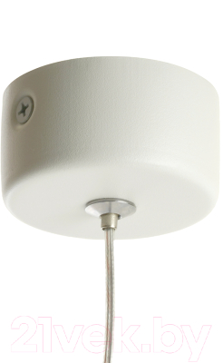 Потолочный светильник Feron HL4548 / 48748