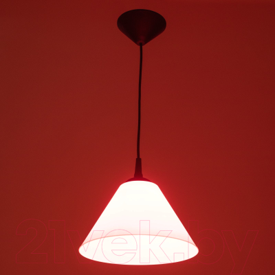 Потолочный светильник BayerLux Конус / 9175854