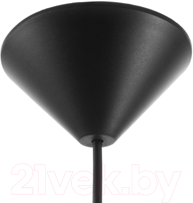 Потолочный светильник BayerLux Ирис / 9175844