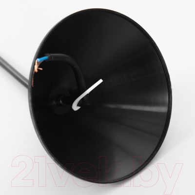 Потолочный светильник BayerLux Ирис / 9175844