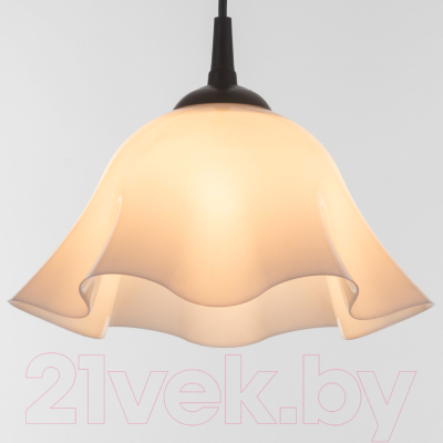 Потолочный светильник BayerLux Ирис / 9175844