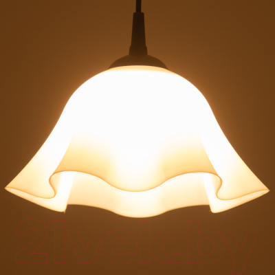 Потолочный светильник BayerLux Ирис / 9175844