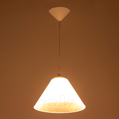 Потолочный светильник BayerLux Конус / 9175850