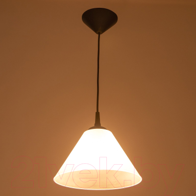 Потолочный светильник BayerLux Конус / 9175856