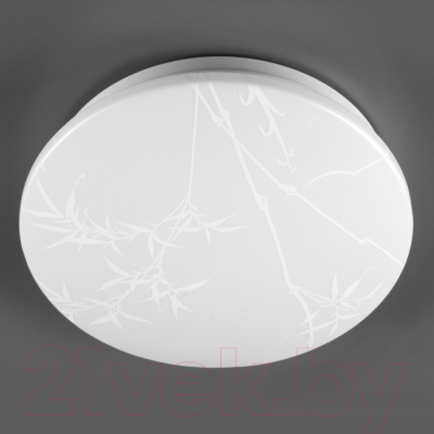 Потолочный светильник General Lighting GSMCL-019-18 Reed / 800257