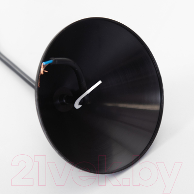 Потолочный светильник BayerLux Конус / 9175857