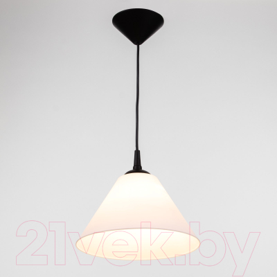 Потолочный светильник BayerLux Конус / 9175857