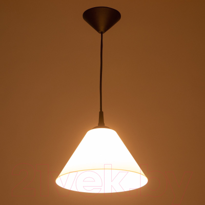 Потолочный светильник BayerLux Конус / 9175857