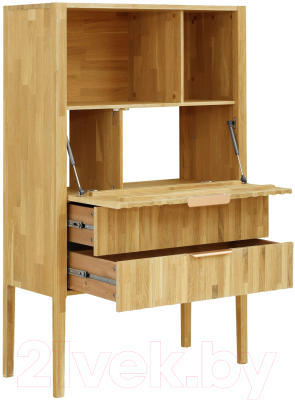 Шкаф Dipriz Розенбург Д.70035.1