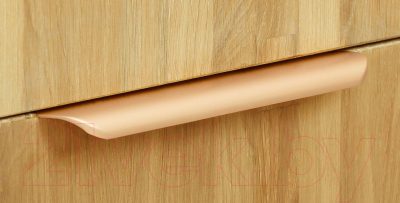 Шкаф Dipriz Розенбург Д.70035.1