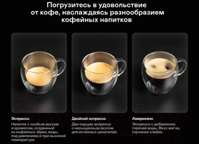 Кофемашина Garlyn L2000