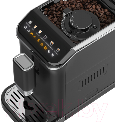 Кофемашина Garlyn L2000