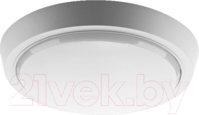 Светильник ЖКХ Wolta LCL04-20W-R21-6K-SM - фото