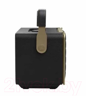 Портативная колонка JBL Authentics 300