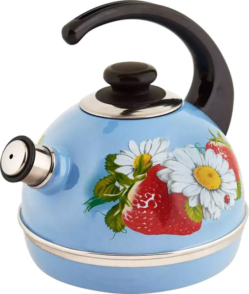 Чайник со свистком Сила Дон Т04/35/09/05 - фото