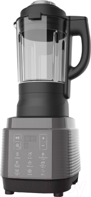 Блендер стационарный Garlyn SM-3000 - фото