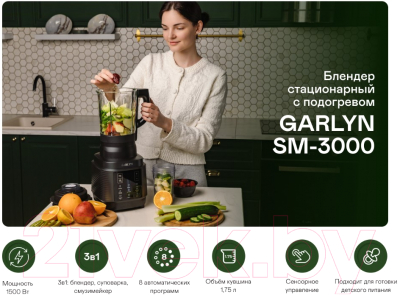 Блендер стационарный Garlyn SM-3000