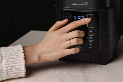 Блендер стационарный Garlyn SM-3000