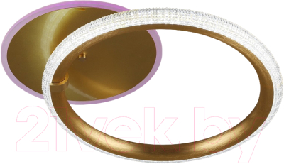 Потолочный светильник Aitin-Pro S2135/1 RGB - фото