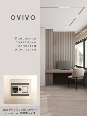 Розетка Ovivo 600-000313-229