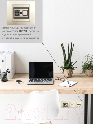 Розетка Ovivo 600-000313-229