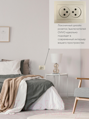 Розетка Ovivo Grano 400-130300-908