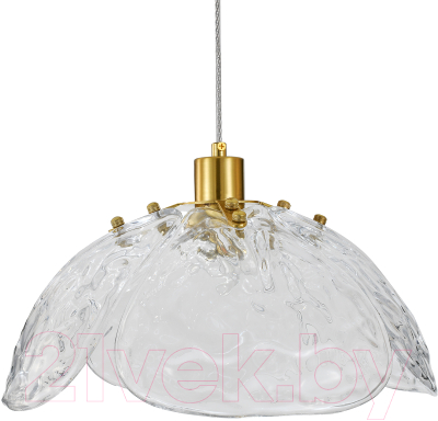 Потолочный светильник Indigo Light Amore V000519